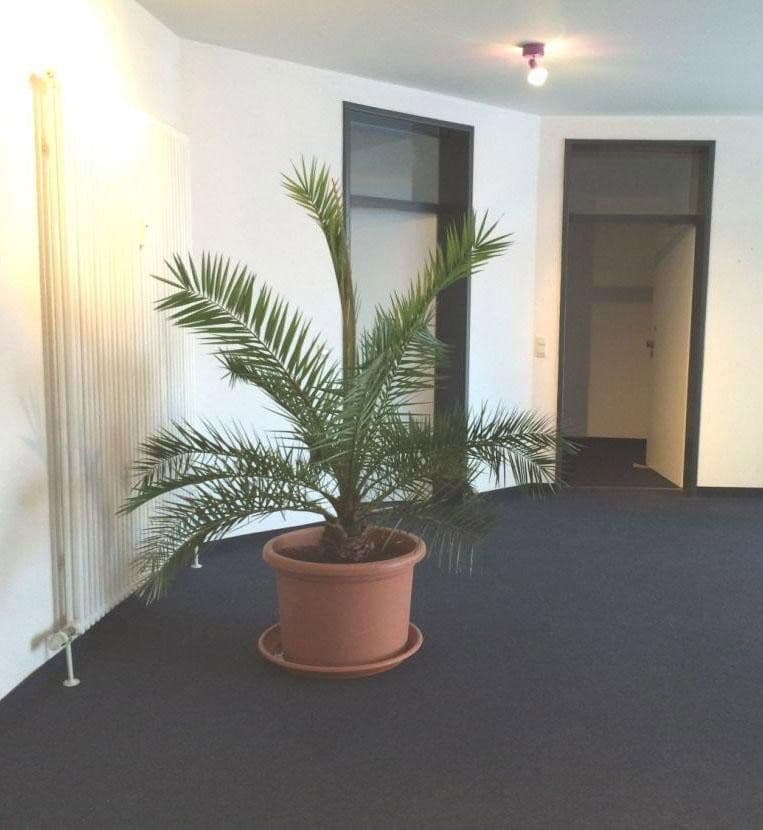 office to rent, 24 m², Badstraße 24a, Offenburg, Baden-Württemberg office to rent, 24 m², Badstraße 24a, Offenburg, Baden-Württemberg