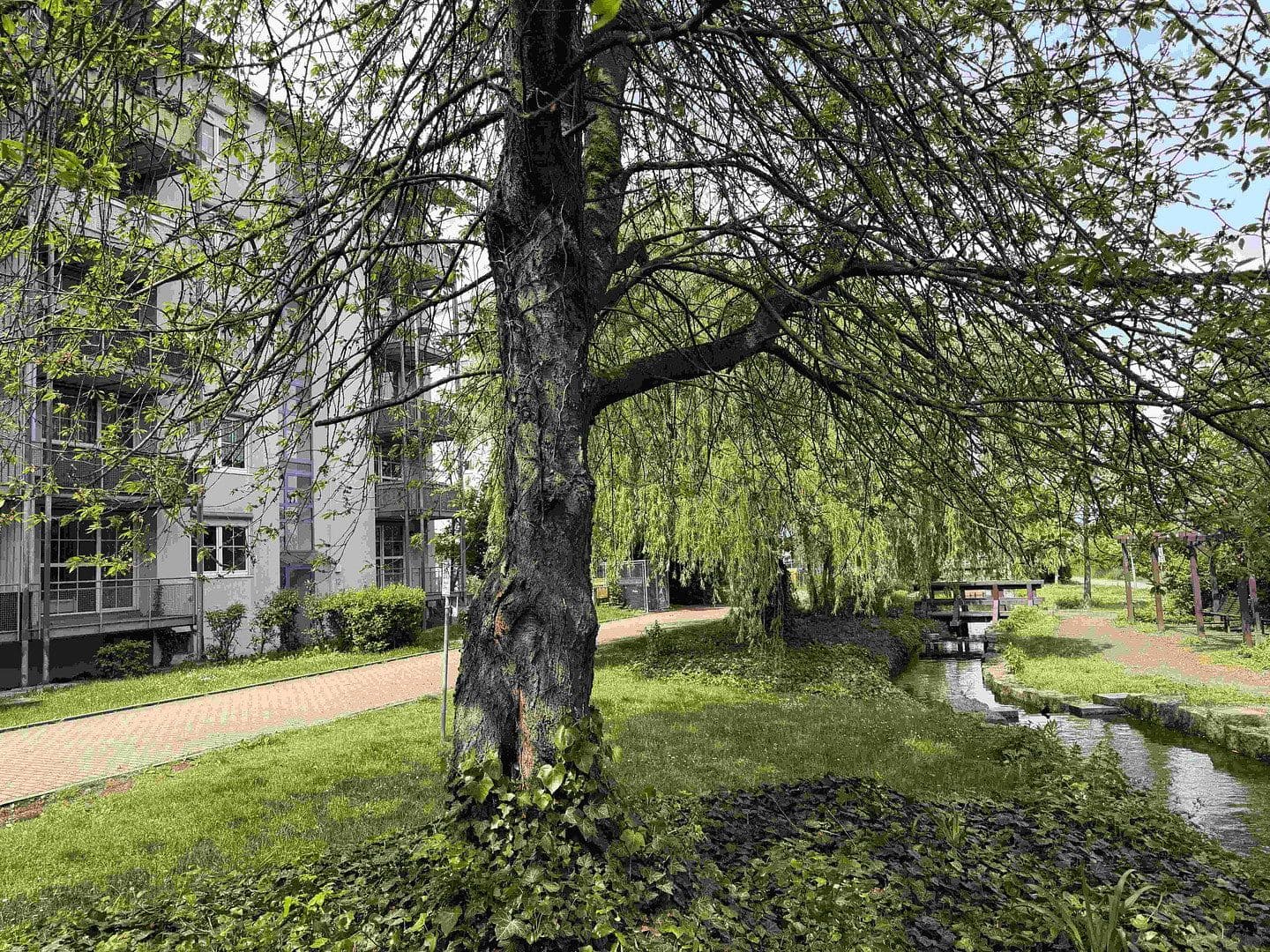 3 bedroom flat to rent, 72 m², Am Rebstock 12, Kabelsketal, Saxony-Anhalt 3 bedroom flat to rent, 72 m², Am Rebstock 12, Kabelsketal, Saxony-Anhalt