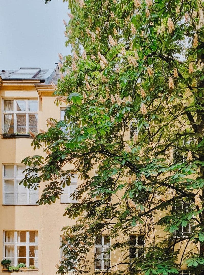 2 bedroom flat for sale, 70 m², Berlin, Berlin 2 bedroom flat for sale, 70 m², Berlin, Berlin