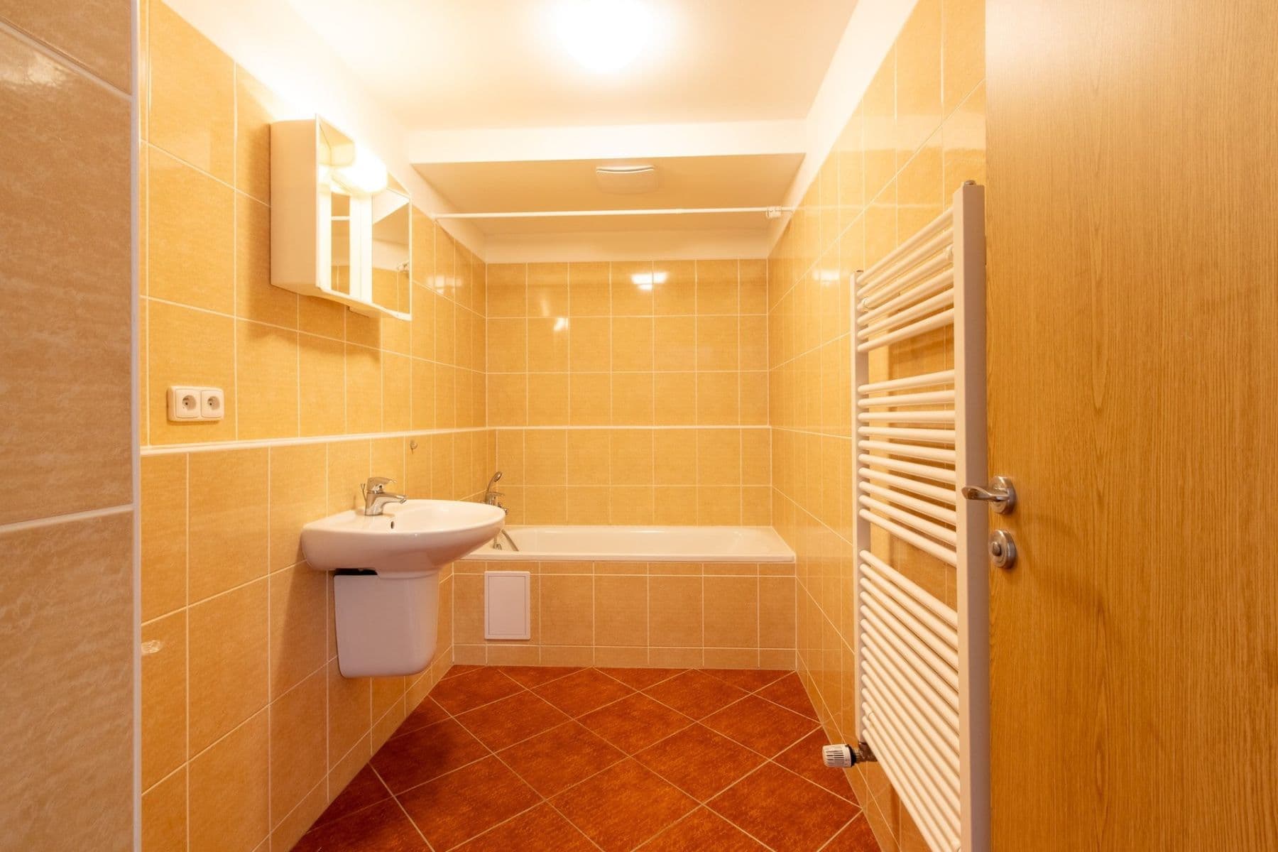 1 bedroom with open-plan kitchen flat to rent, 50 m², Pískařská, Prague, Prague 1 bedroom with open-plan kitchen flat to rent, 50 m², Pískařská, Prague, Prague