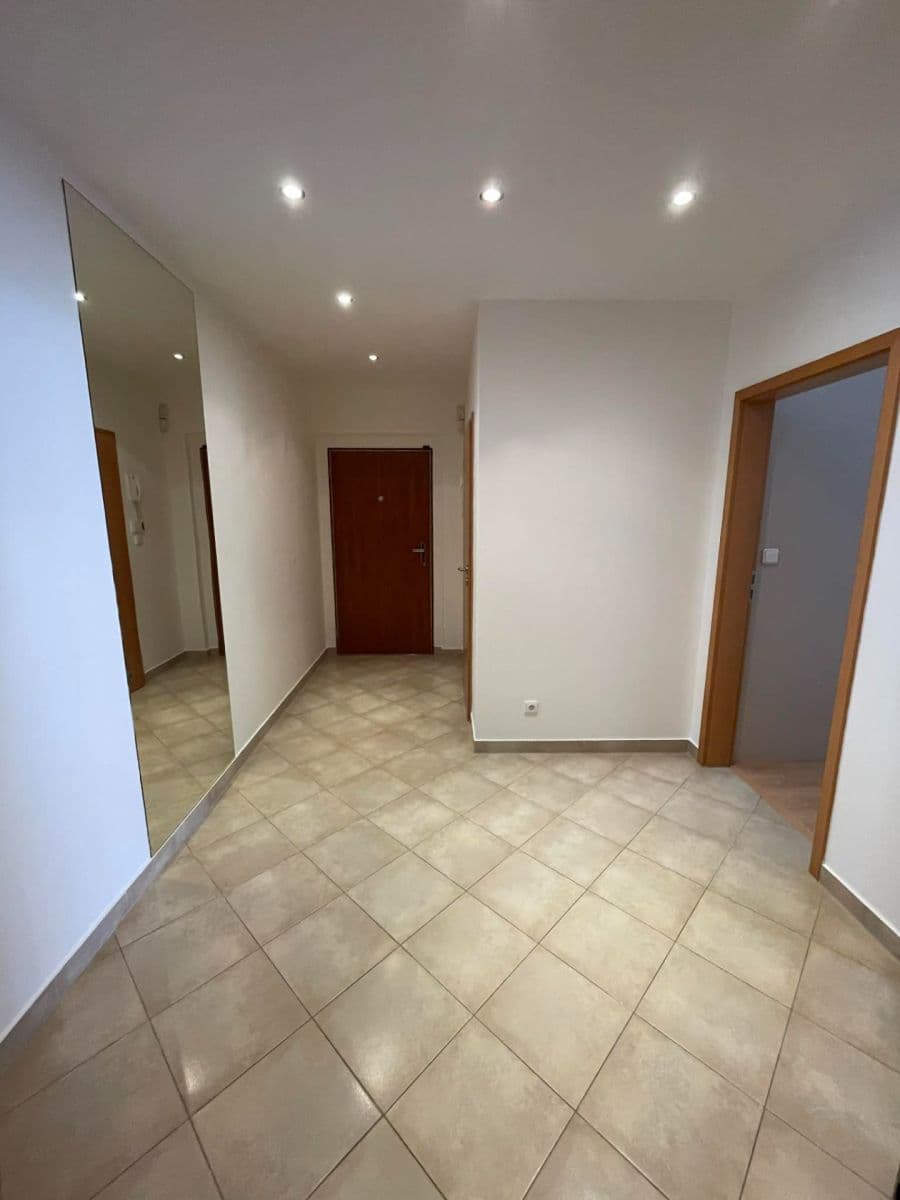 1 bedroom with open-plan kitchen flat to rent, 66 m², Mikanova, Prague, Prague 1 bedroom with open-plan kitchen flat to rent, 66 m², Mikanova, Prague, Prague