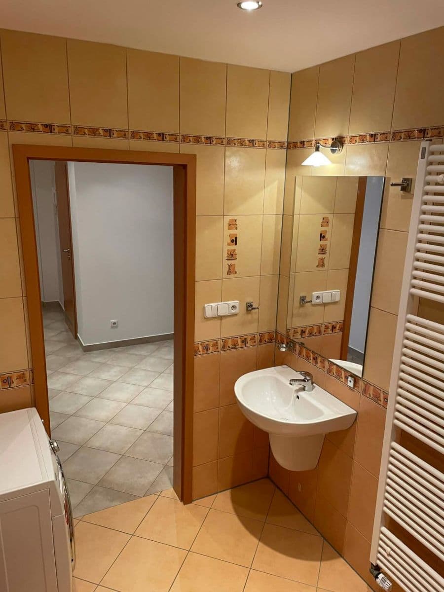 1 bedroom with open-plan kitchen flat to rent, 66 m², Mikanova, Prague, Prague 1 bedroom with open-plan kitchen flat to rent, 66 m², Mikanova, Prague, Prague