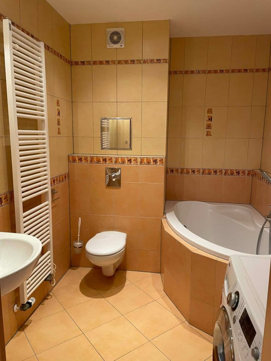 1 bedroom with open-plan kitchen flat to rent, 66 m², Mikanova, Prague, Prague 1 bedroom with open-plan kitchen flat to rent, 66 m², Mikanova, Prague, Prague