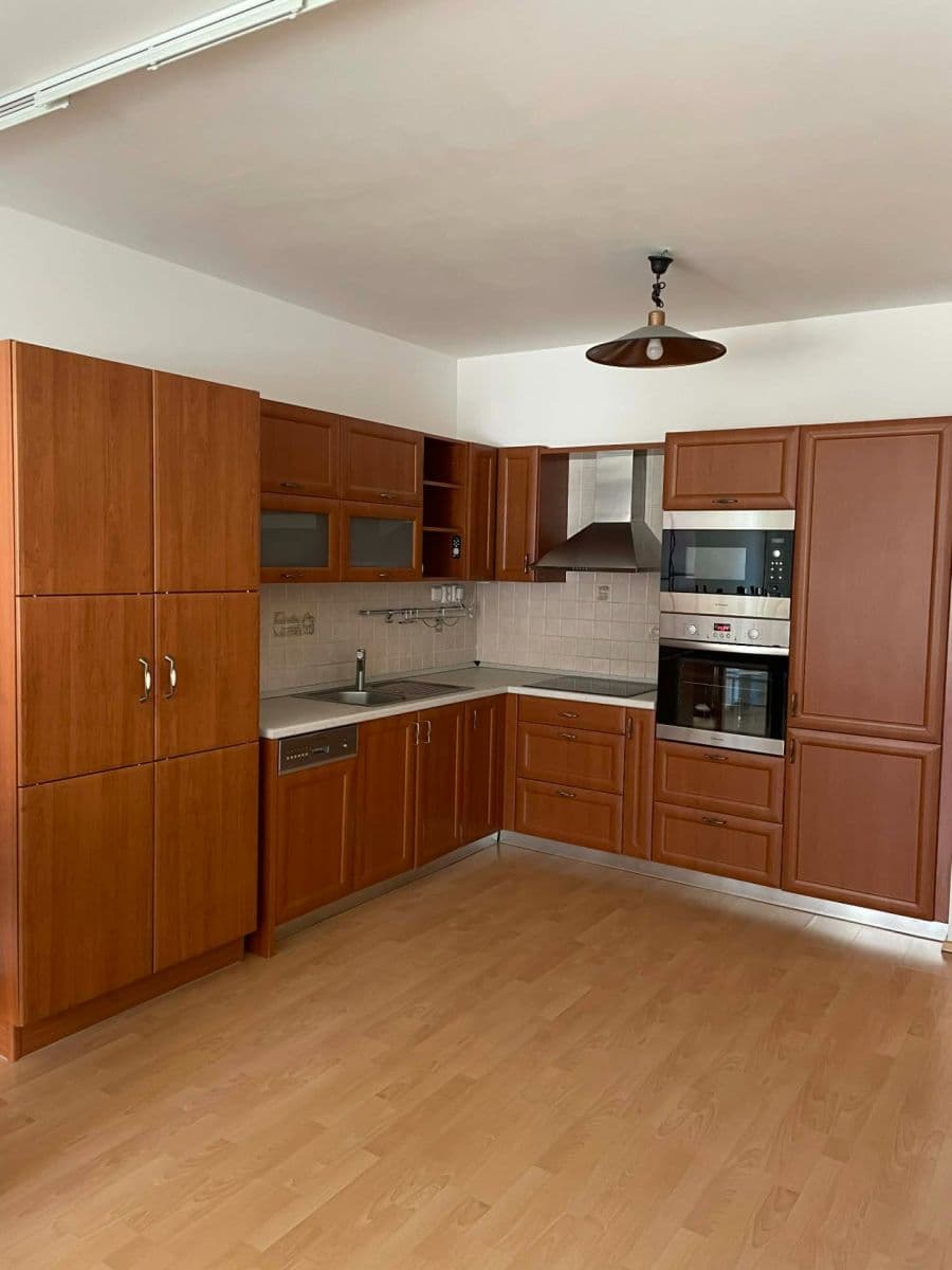 1 bedroom with open-plan kitchen flat to rent, 66 m², Mikanova, Prague, Prague 1 bedroom with open-plan kitchen flat to rent, 66 m², Mikanova, Prague, Prague