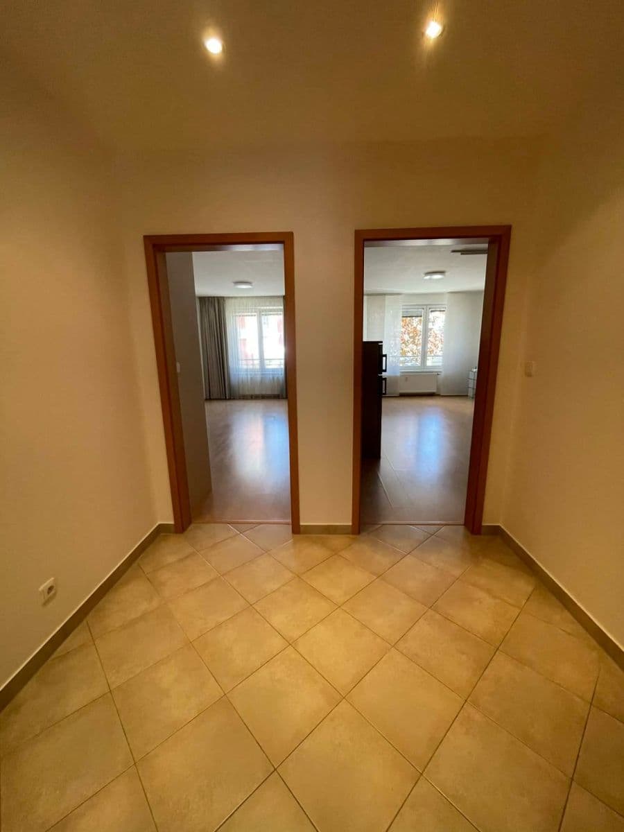 1 bedroom with open-plan kitchen flat to rent, 66 m², Mikanova, Prague, Prague 1 bedroom with open-plan kitchen flat to rent, 66 m², Mikanova, Prague, Prague