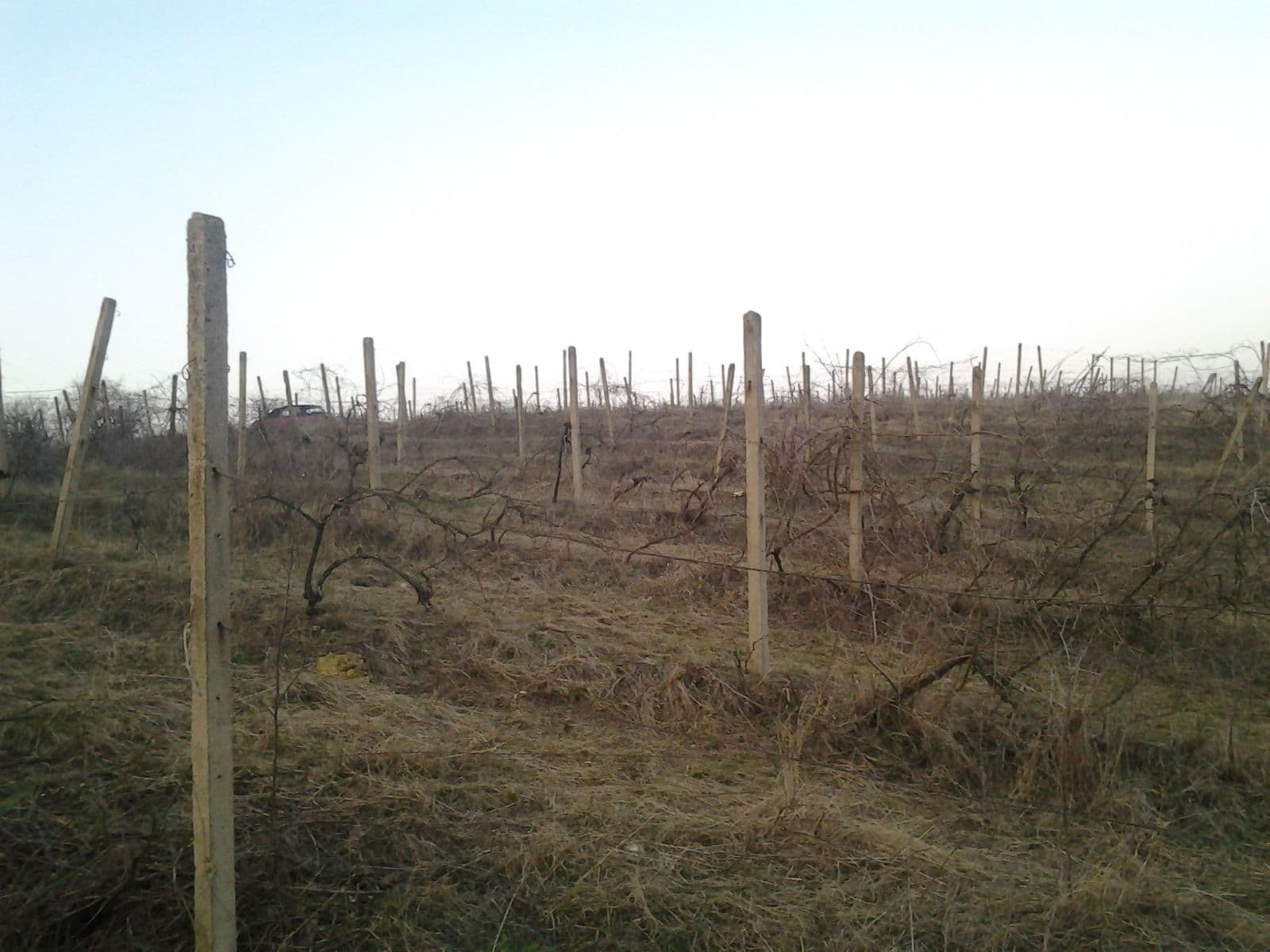 plot for sale, 11,975 m², Valtice, Jihomoravský Region plot for sale, 11,975 m², Valtice, Jihomoravský Region