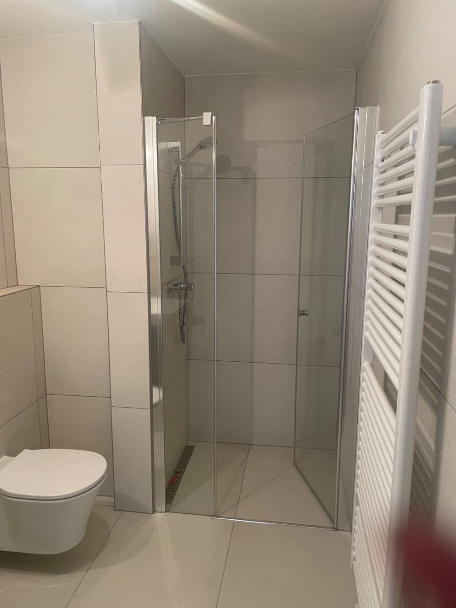 1 bedroom with open-plan kitchen flat to rent, 34 m², Krymská, Prague, Prague 1 bedroom with open-plan kitchen flat to rent, 34 m², Krymská, Prague, Prague