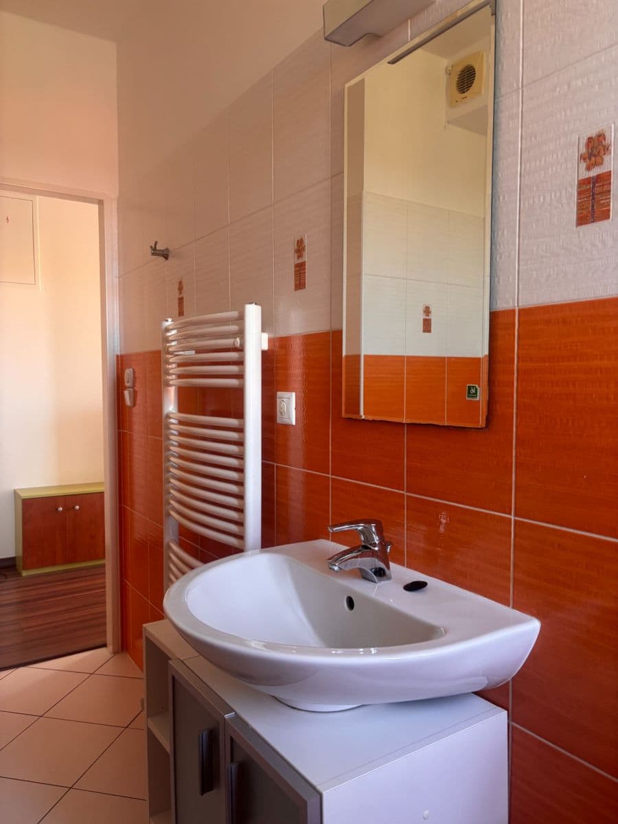 1 bedroom with open-plan kitchen flat for sale, 56 m², U Lipové aleje, Prague, Prague 1 bedroom with open-plan kitchen flat for sale, 56 m², U Lipové aleje, Prague, Prague