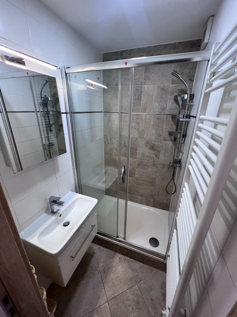 1 bedroom with open-plan kitchen flat to rent, 46 m², Golfová, Prague, Prague 1 bedroom with open-plan kitchen flat to rent, 46 m², Golfová, Prague, Prague
