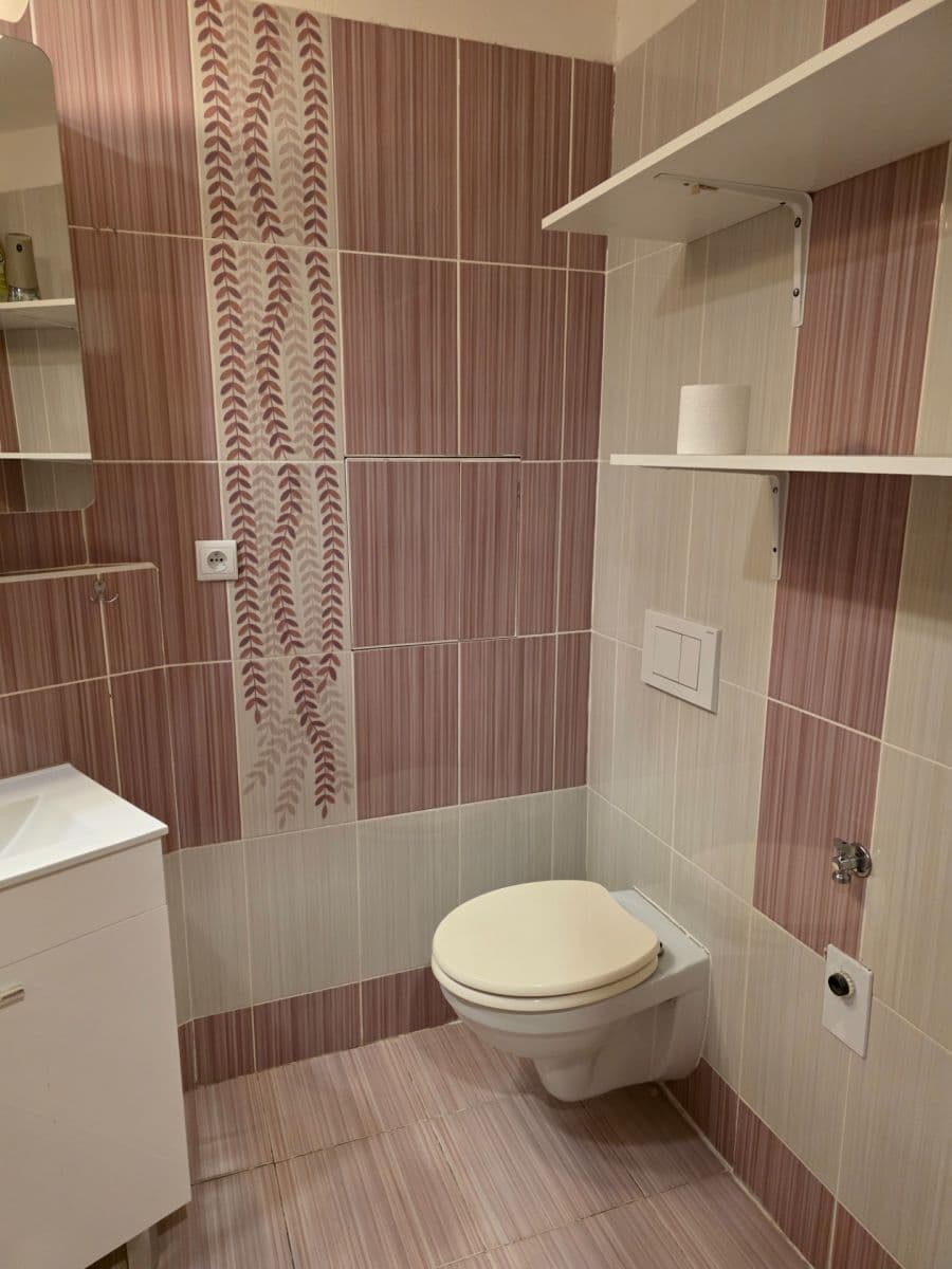 1 bedroom with open-plan kitchen flat to rent, 40 m², Kostomlatská, Prague, Prague 1 bedroom with open-plan kitchen flat to rent, 40 m², Kostomlatská, Prague, Prague