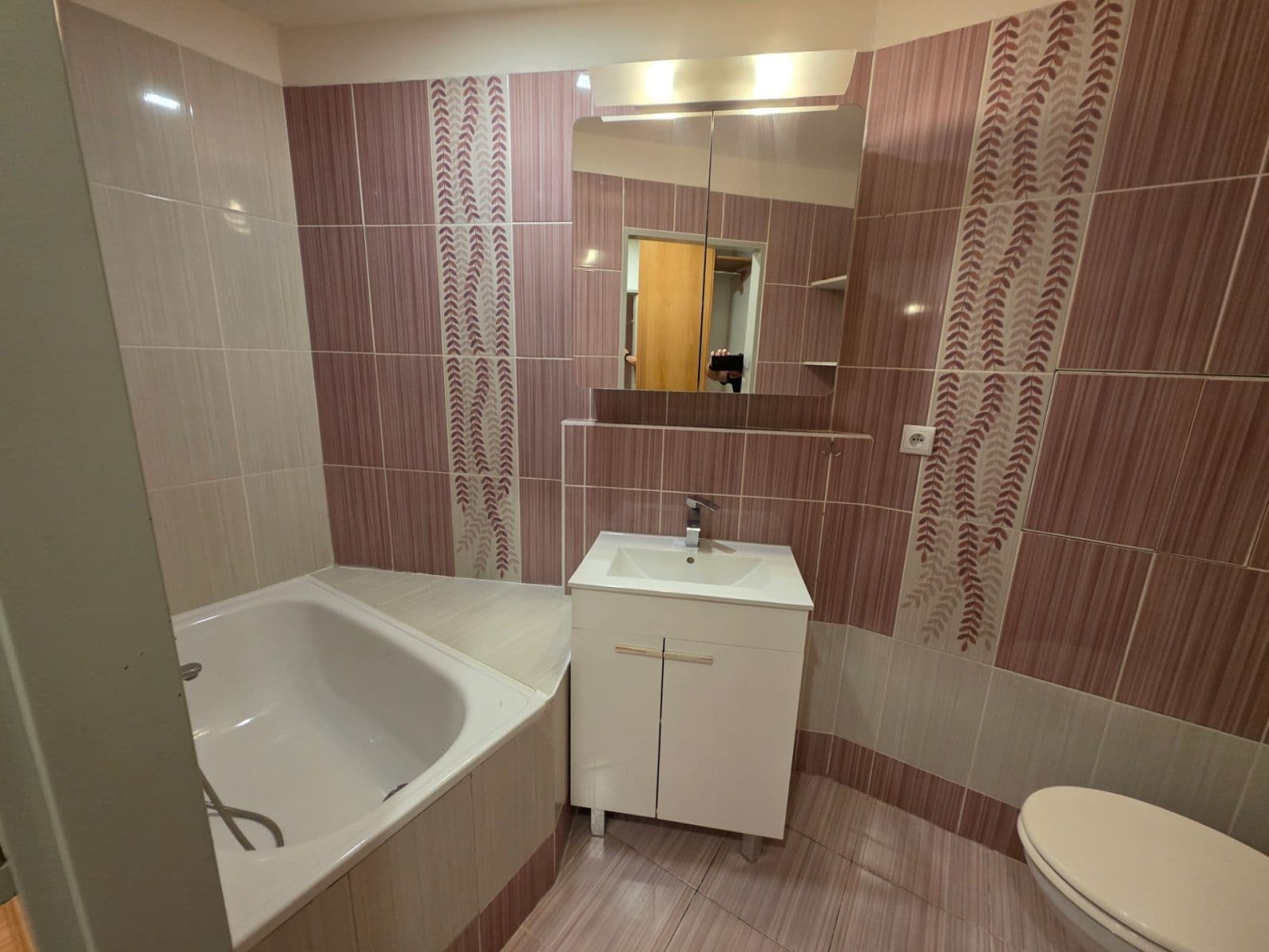1 bedroom with open-plan kitchen flat to rent, 40 m², Kostomlatská, Prague, Prague 1 bedroom with open-plan kitchen flat to rent, 40 m², Kostomlatská, Prague, Prague