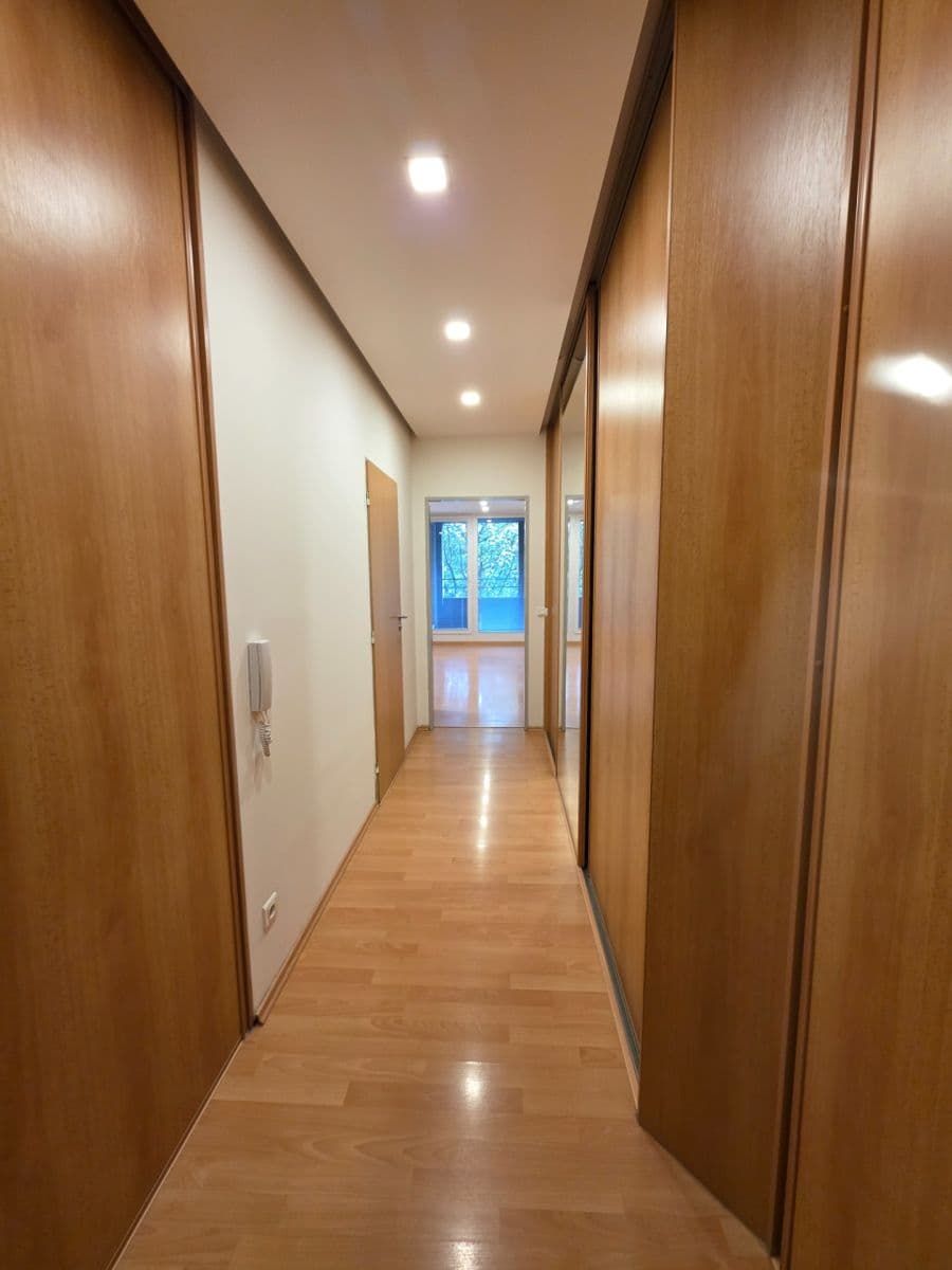 1 bedroom with open-plan kitchen flat to rent, 40 m², Kostomlatská, Prague, Prague 1 bedroom with open-plan kitchen flat to rent, 40 m², Kostomlatská, Prague, Prague