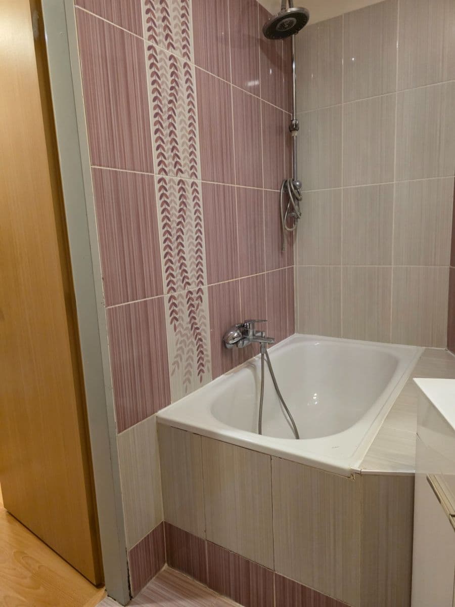 1 bedroom with open-plan kitchen flat to rent, 40 m², Kostomlatská, Prague, Prague 1 bedroom with open-plan kitchen flat to rent, 40 m², Kostomlatská, Prague, Prague