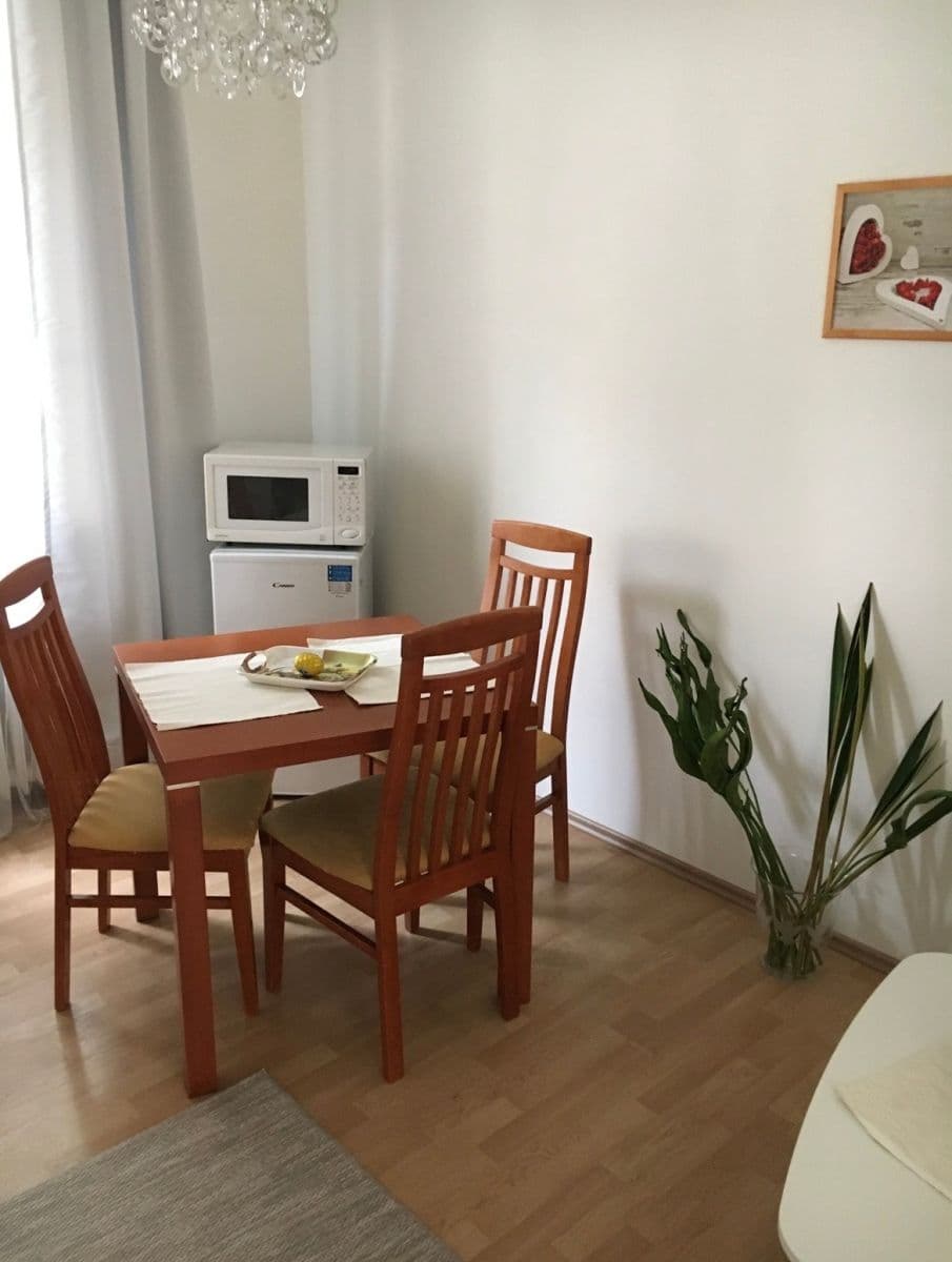1 bedroom with open-plan kitchen flat to rent, 45 m², U Waltrovky, Prague, Prague 1 bedroom with open-plan kitchen flat to rent, 45 m², U Waltrovky, Prague, Prague