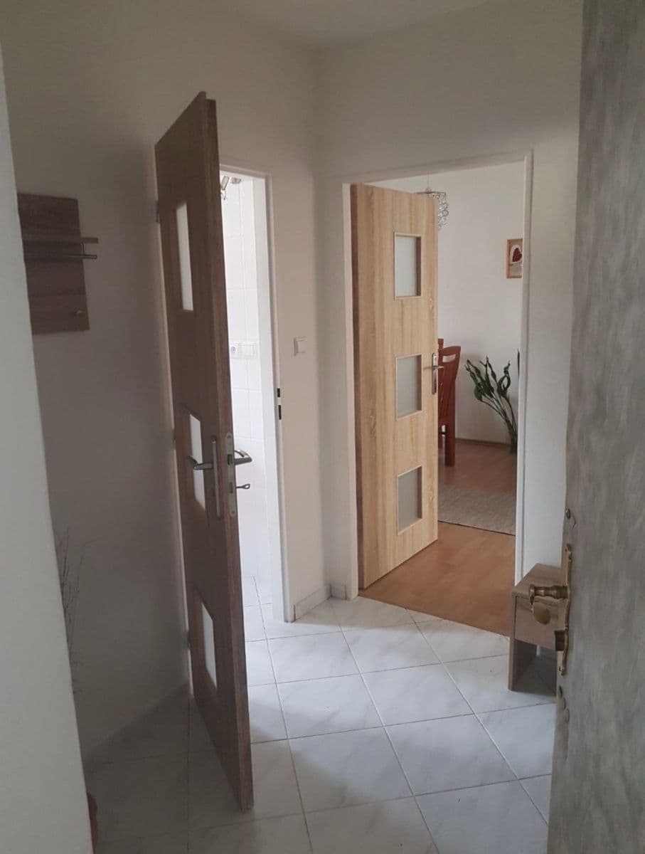 1 bedroom with open-plan kitchen flat to rent, 45 m², U Waltrovky, Prague, Prague 1 bedroom with open-plan kitchen flat to rent, 45 m², U Waltrovky, Prague, Prague
