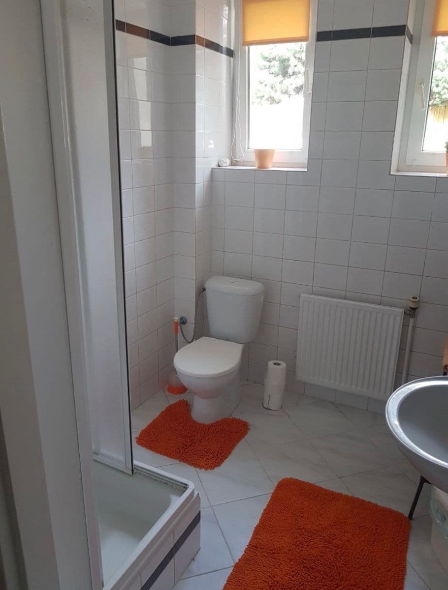 1 bedroom with open-plan kitchen flat to rent, 45 m², U Waltrovky, Prague, Prague 1 bedroom with open-plan kitchen flat to rent, 45 m², U Waltrovky, Prague, Prague