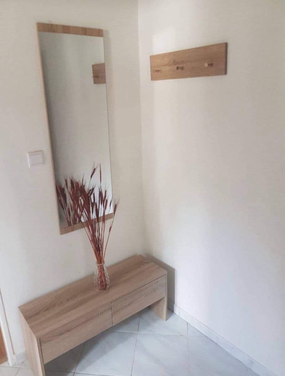 1 bedroom with open-plan kitchen flat to rent, 45 m², U Waltrovky, Prague, Prague 1 bedroom with open-plan kitchen flat to rent, 45 m², U Waltrovky, Prague, Prague