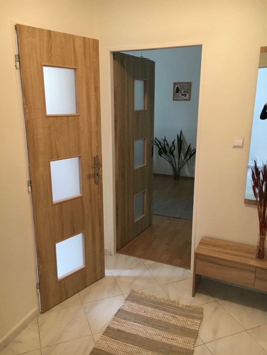 1 bedroom with open-plan kitchen flat to rent, 45 m², U Waltrovky, Prague, Prague 1 bedroom with open-plan kitchen flat to rent, 45 m², U Waltrovky, Prague, Prague