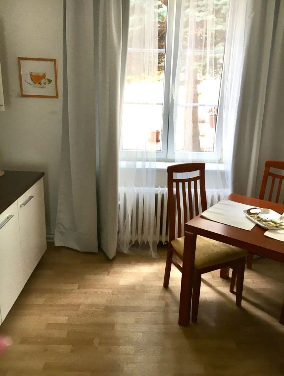 1 bedroom with open-plan kitchen flat to rent, 45 m², U Waltrovky, Prague, Prague 1 bedroom with open-plan kitchen flat to rent, 45 m², U Waltrovky, Prague, Prague