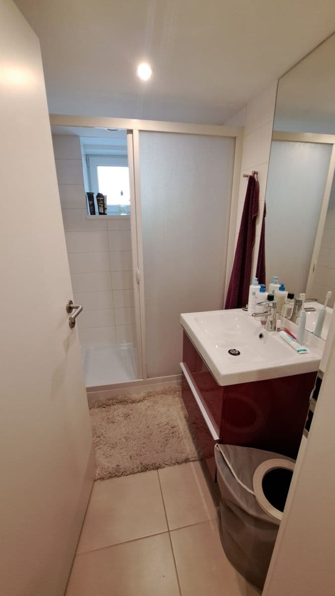 1 bedroom with open-plan kitchen flat to rent, 45 m², Na Lužci, Prague, Prague 1 bedroom with open-plan kitchen flat to rent, 45 m², Na Lužci, Prague, Prague