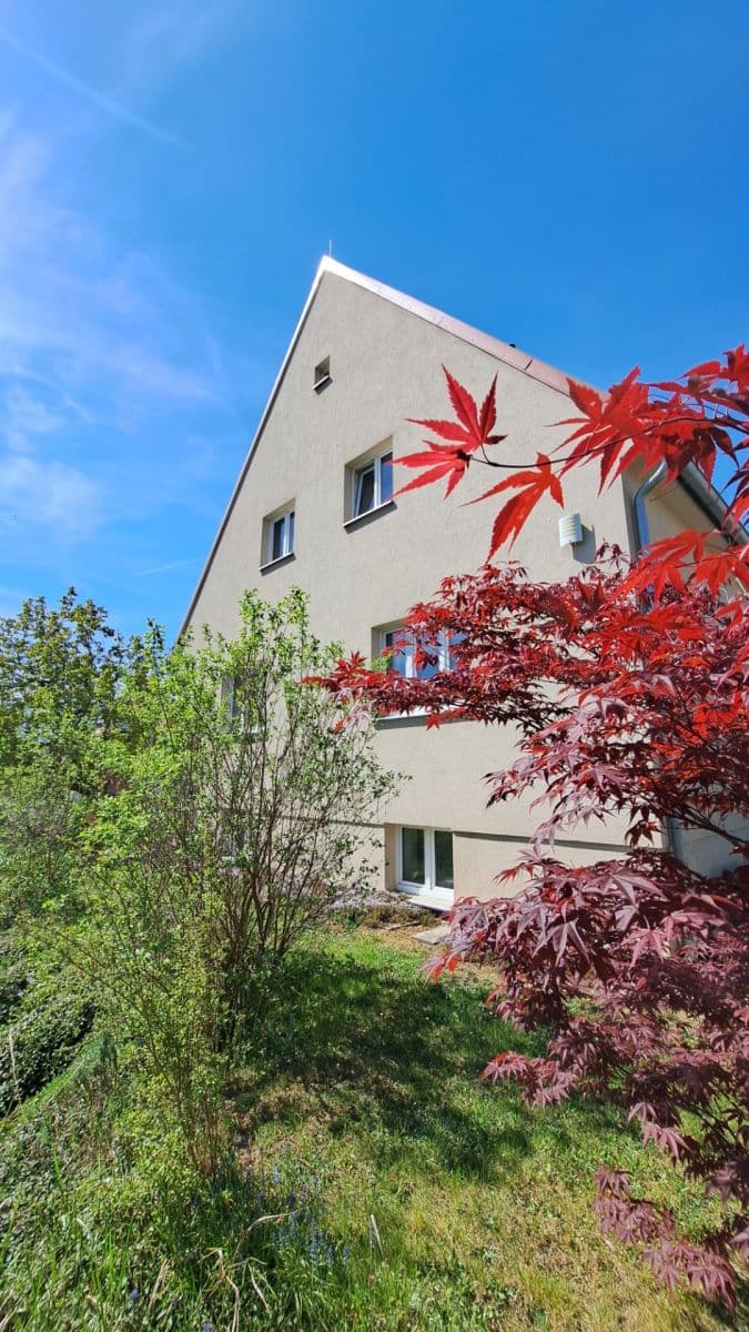 1 bedroom with open-plan kitchen flat to rent, 45 m², Na Lužci, Prague, Prague 1 bedroom with open-plan kitchen flat to rent, 45 m², Na Lužci, Prague, Prague