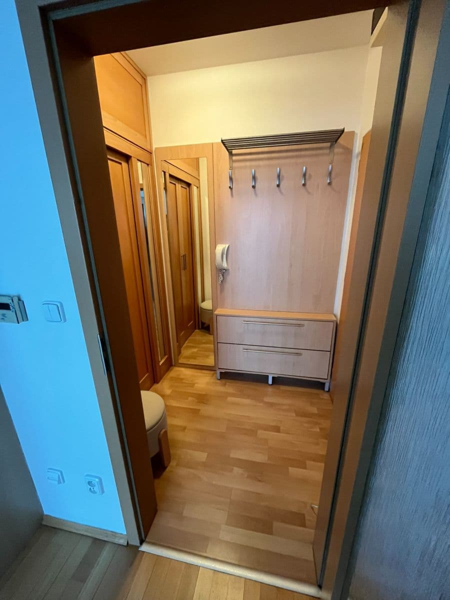 1 bedroom with open-plan kitchen flat to rent, 49 m², Dandova, Prague, Prague 1 bedroom with open-plan kitchen flat to rent, 49 m², Dandova, Prague, Prague