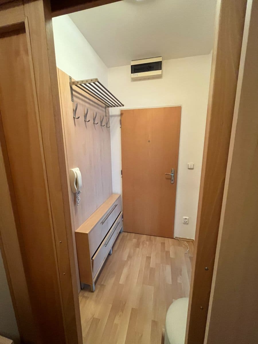 1 bedroom with open-plan kitchen flat to rent, 49 m², Dandova, Prague, Prague 1 bedroom with open-plan kitchen flat to rent, 49 m², Dandova, Prague, Prague