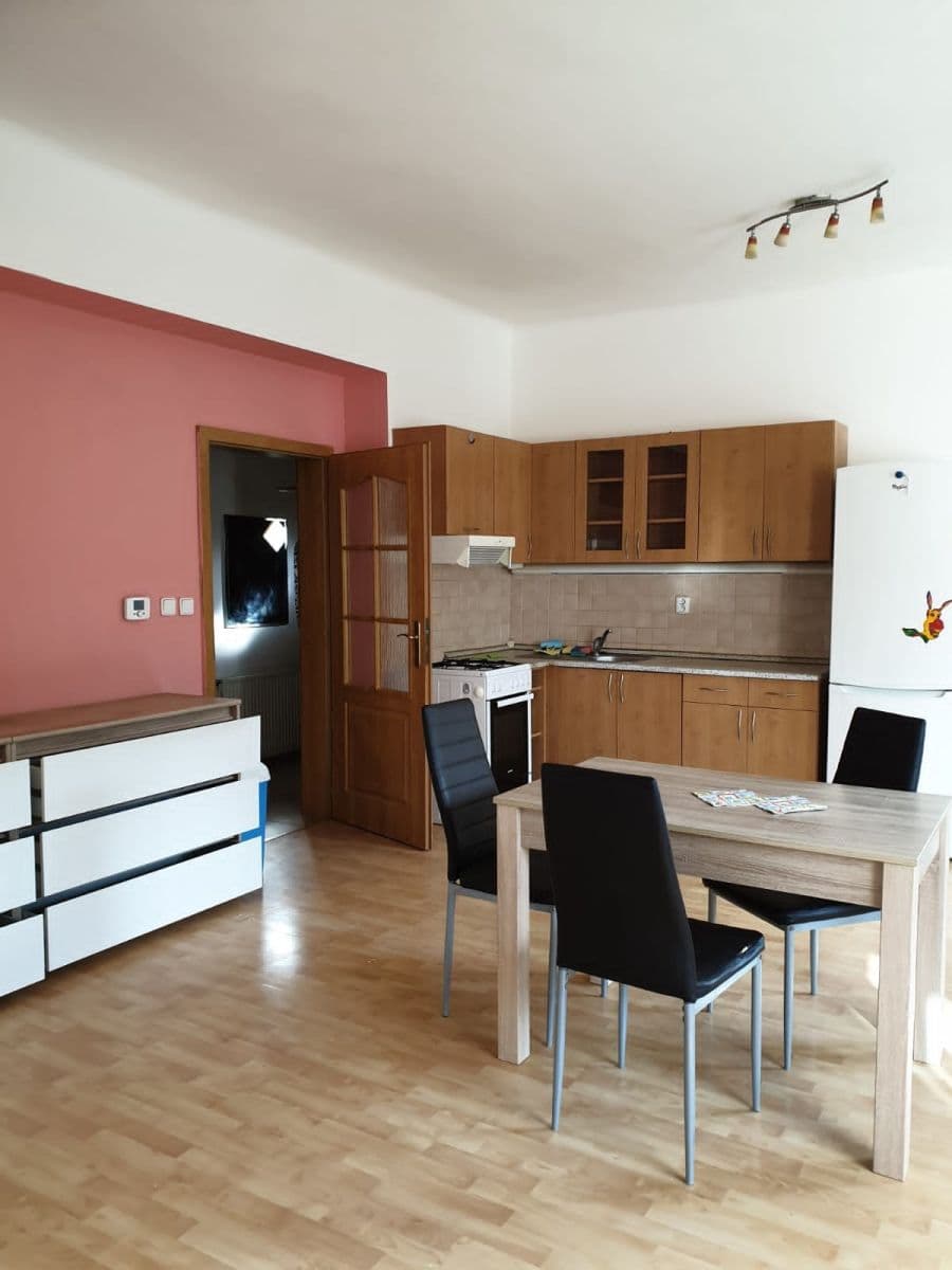 1 bedroom with open-plan kitchen flat to rent, 50 m², K Vodojemu, Prague, Prague 1 bedroom with open-plan kitchen flat to rent, 50 m², K Vodojemu, Prague, Prague