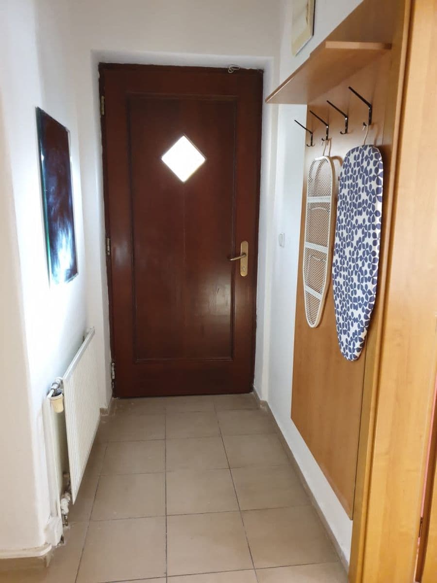 1 bedroom with open-plan kitchen flat to rent, 50 m², K Vodojemu, Prague, Prague 1 bedroom with open-plan kitchen flat to rent, 50 m², K Vodojemu, Prague, Prague