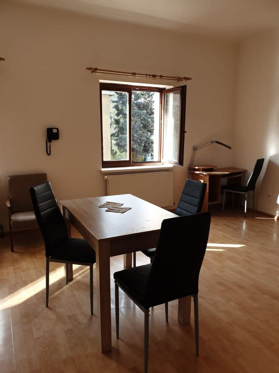 1 bedroom with open-plan kitchen flat to rent, 50 m², K Vodojemu, Prague, Prague 1 bedroom with open-plan kitchen flat to rent, 50 m², K Vodojemu, Prague, Prague