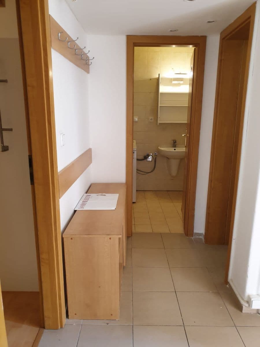 1 bedroom with open-plan kitchen flat to rent, 50 m², K Vodojemu, Prague, Prague 1 bedroom with open-plan kitchen flat to rent, 50 m², K Vodojemu, Prague, Prague