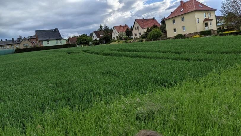 plot for sale, 1,350 m², Am Berg 5, Dresden, Saxony plot for sale, 1,350 m², Am Berg 5, Dresden, Saxony