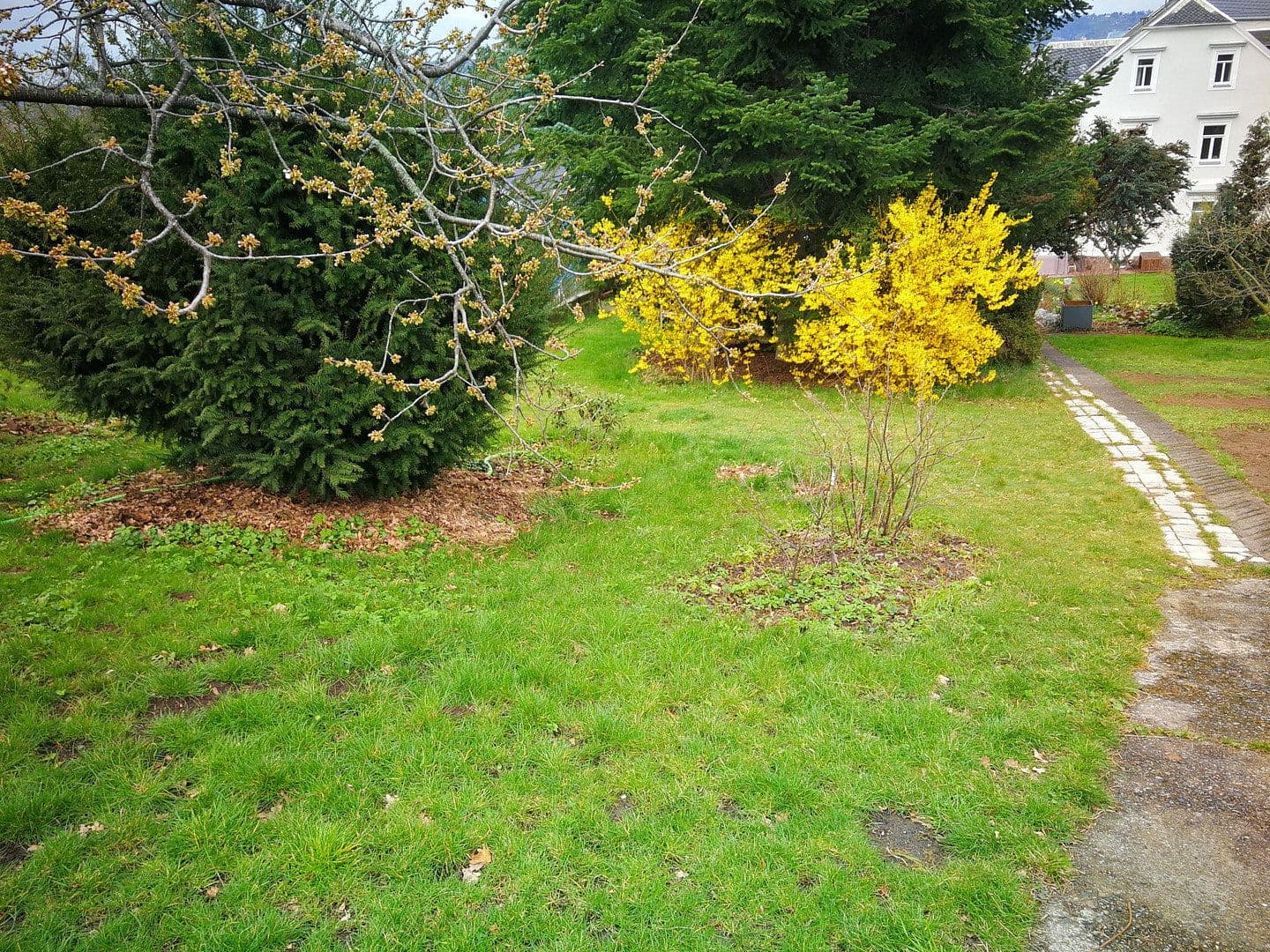 plot for sale, 1,350 m², Am Berg 5, Dresden, Saxony plot for sale, 1,350 m², Am Berg 5, Dresden, Saxony