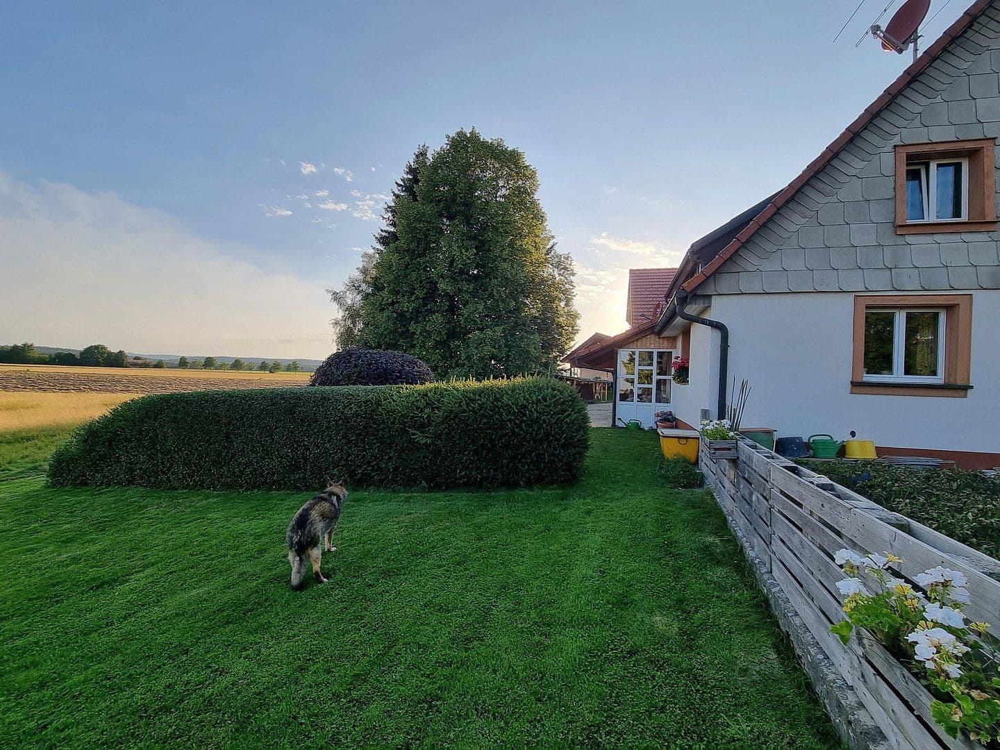 house to rent, 240 m², Friedenweiler, Baden-Württemberg house to rent, 240 m², Friedenweiler, Baden-Württemberg