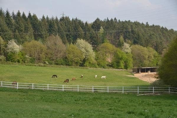 plot for sale, 180,000 m², Boppard, Rhineland-Palatinate plot for sale, 180,000 m², Boppard, Rhineland-Palatinate