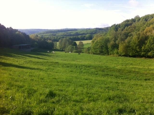 plot for sale, 180,000 m², Boppard, Rhineland-Palatinate plot for sale, 180,000 m², Boppard, Rhineland-Palatinate