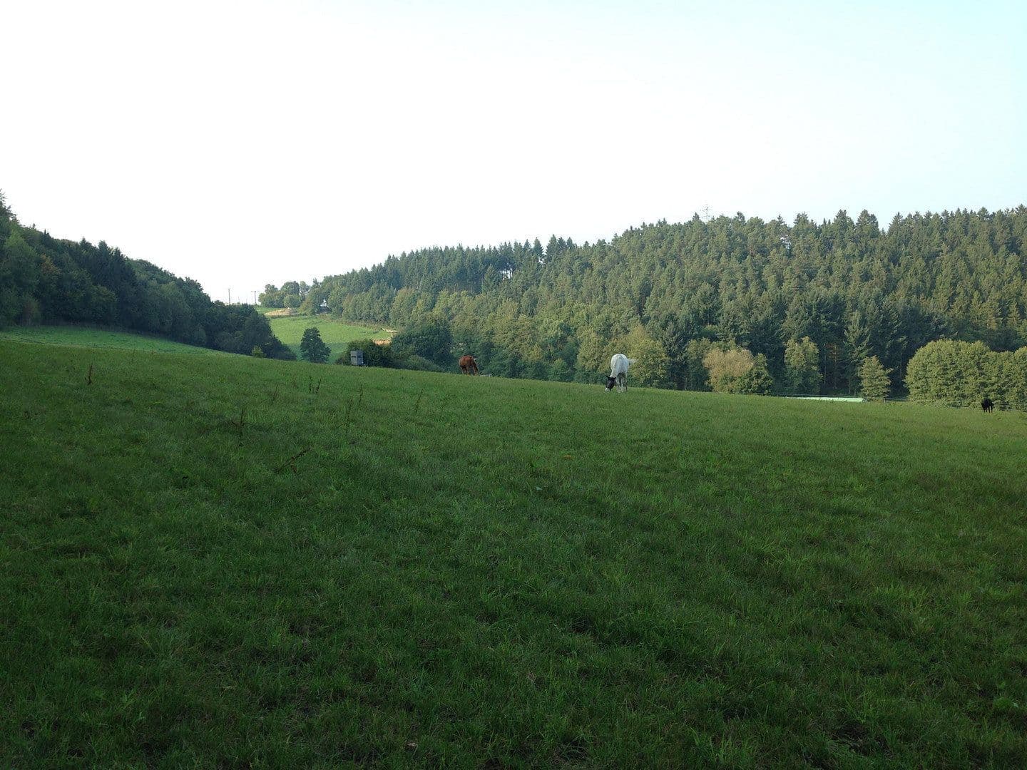 plot for sale, 180,000 m², Boppard, Rhineland-Palatinate plot for sale, 180,000 m², Boppard, Rhineland-Palatinate