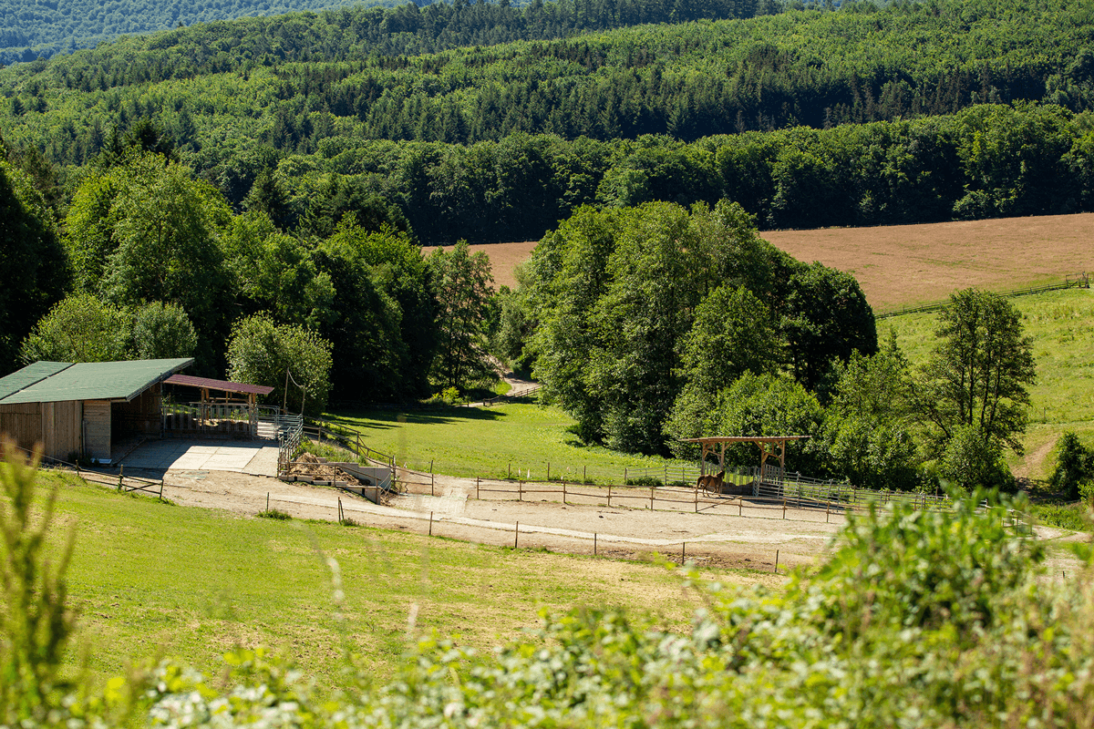 plot for sale, 180,000 m², Boppard, Rhineland-Palatinate plot for sale, 180,000 m², Boppard, Rhineland-Palatinate