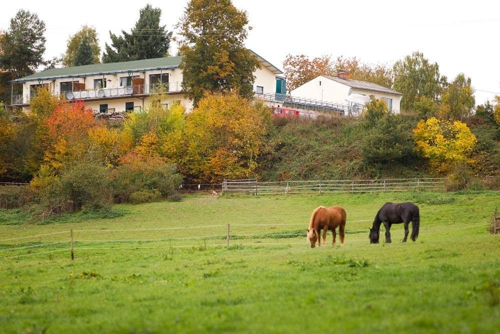 plot for sale, 180,000 m², Boppard, Rhineland-Palatinate plot for sale, 180,000 m², Boppard, Rhineland-Palatinate