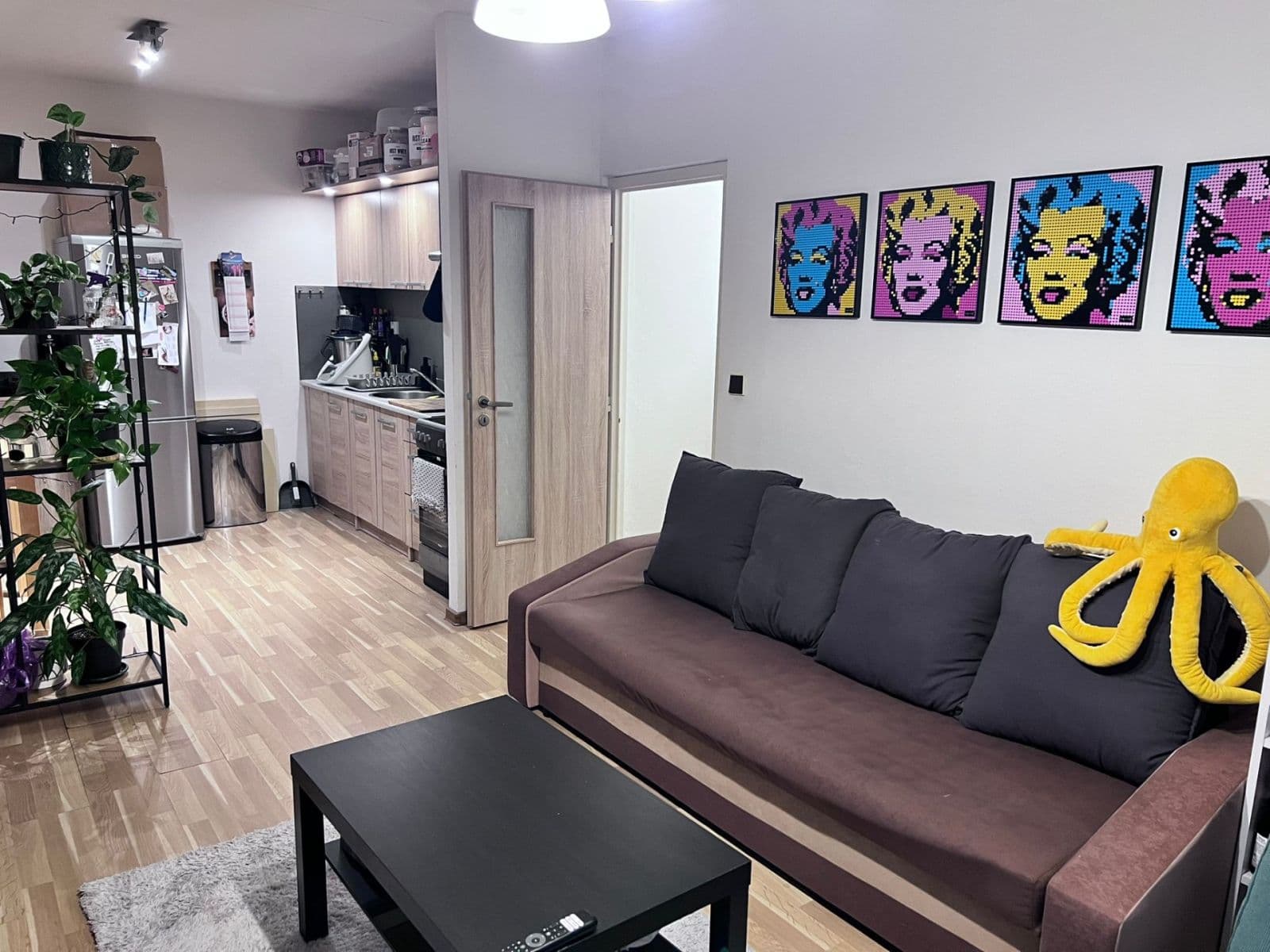 1 bedroom with open-plan kitchen flat to rent, 48 m², Oblá, Brno, Jihomoravský Region 1 bedroom with open-plan kitchen flat to rent, 48 m², Oblá, Brno, Jihomoravský Region