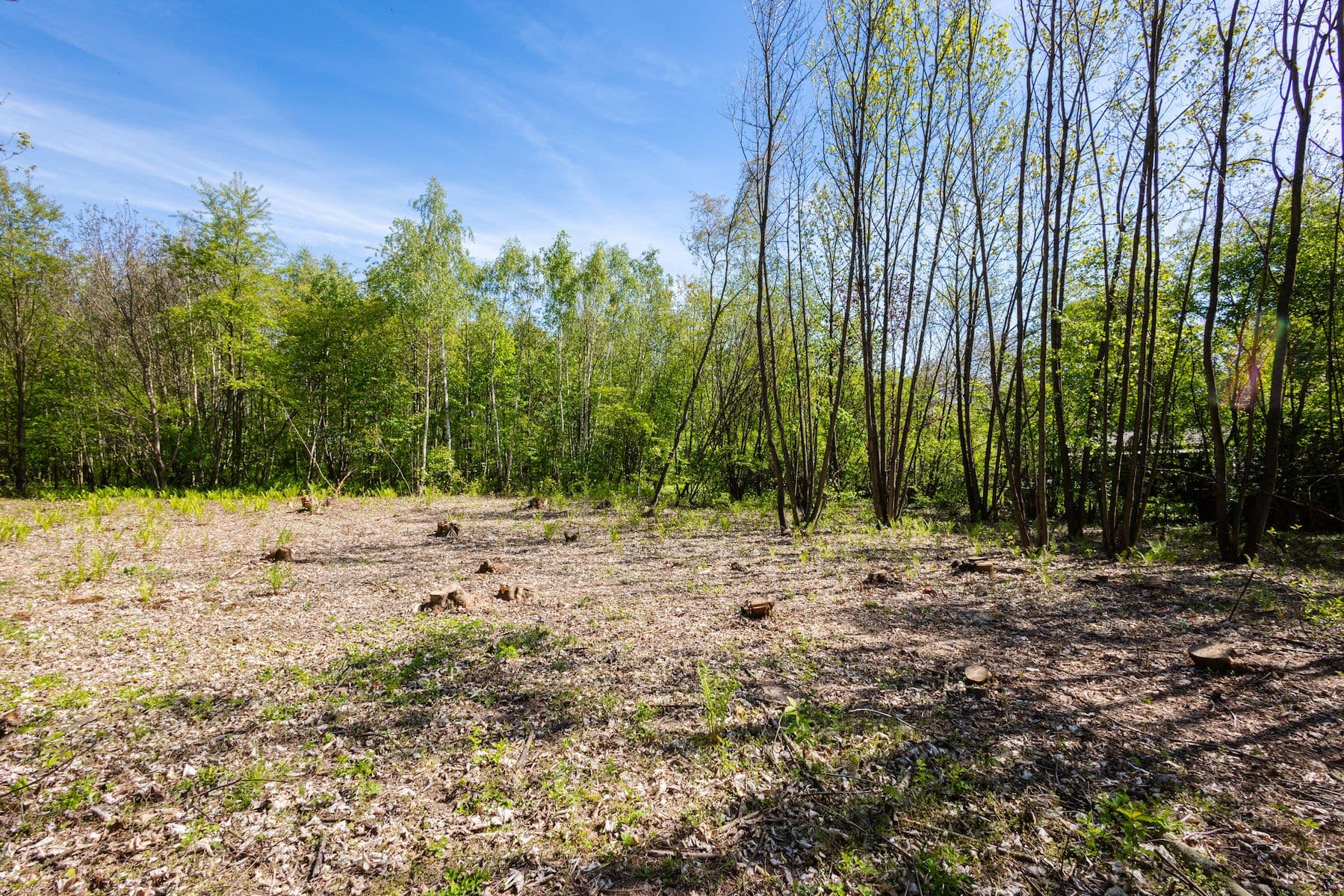 plot for sale, 1,864 m², Boušova, Prague, Prague plot for sale, 1,864 m², Boušova, Prague, Prague