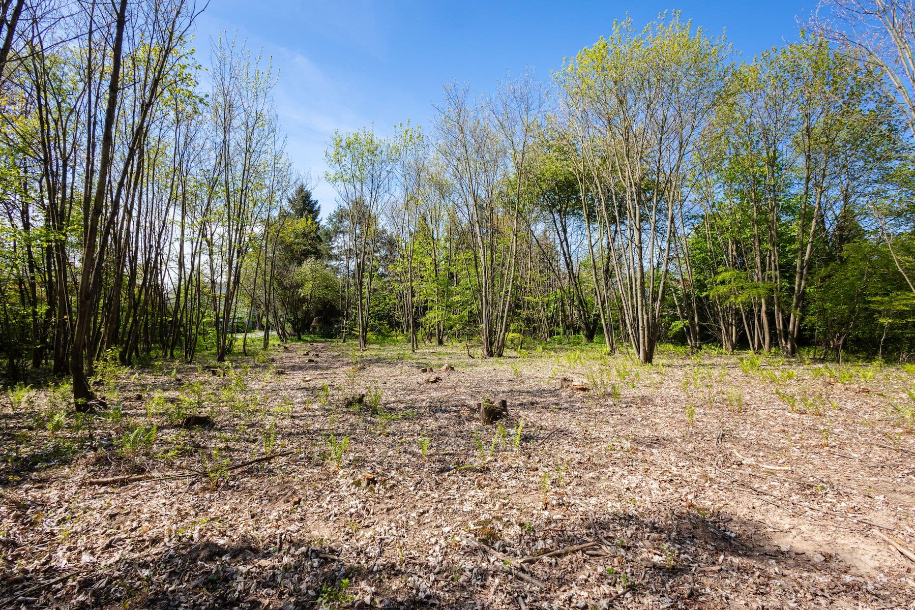 plot for sale, 1,864 m², Boušova, Prague, Prague plot for sale, 1,864 m², Boušova, Prague, Prague