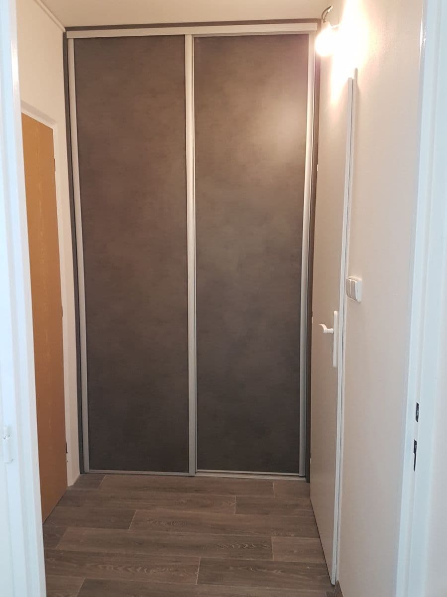 1 bedroom with open-plan kitchen flat to rent, 34 m², Červenkova, Prague, Prague 1 bedroom with open-plan kitchen flat to rent, 34 m², Červenkova, Prague, Prague