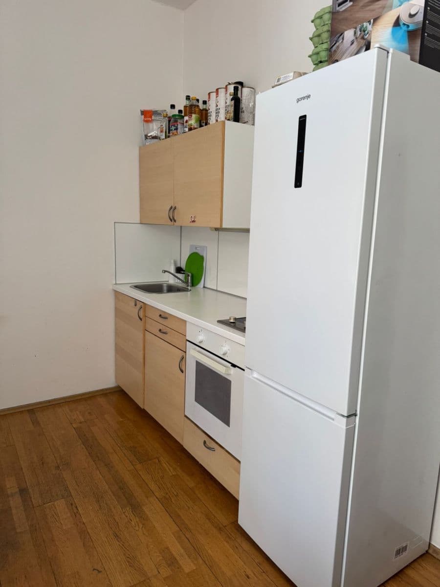 1 bedroom with open-plan kitchen flat to rent, 35 m², Umělecká, Prague, Prague 1 bedroom with open-plan kitchen flat to rent, 35 m², Umělecká, Prague, Prague