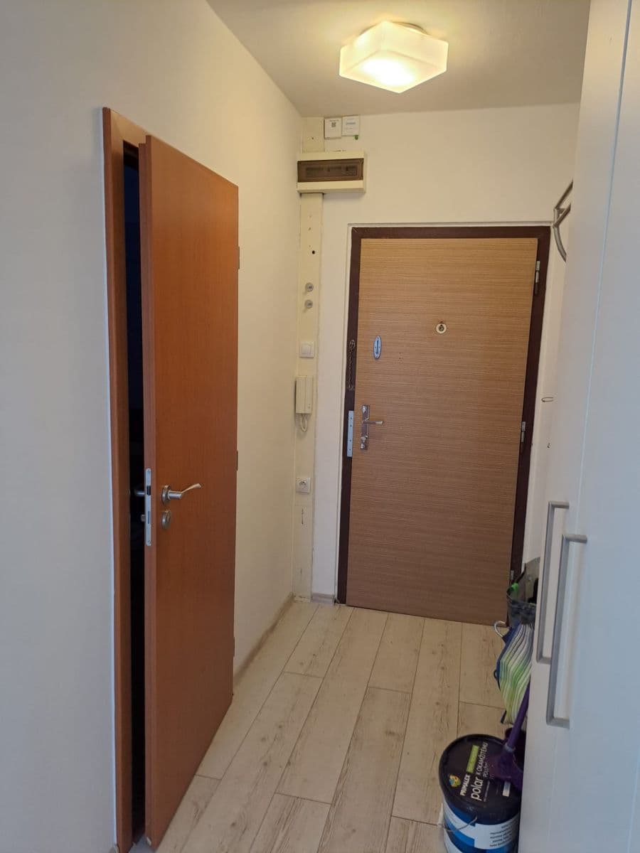 1 bedroom with open-plan kitchen flat to rent, 43 m², Hostinského, Prague, Prague 1 bedroom with open-plan kitchen flat to rent, 43 m², Hostinského, Prague, Prague