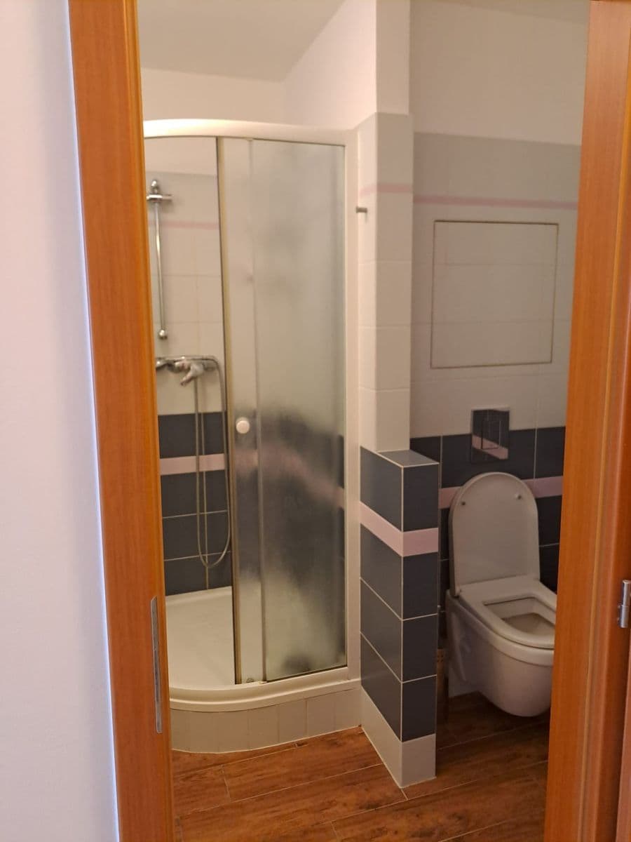 1 bedroom with open-plan kitchen flat to rent, 43 m², Hostinského, Prague, Prague 1 bedroom with open-plan kitchen flat to rent, 43 m², Hostinského, Prague, Prague
