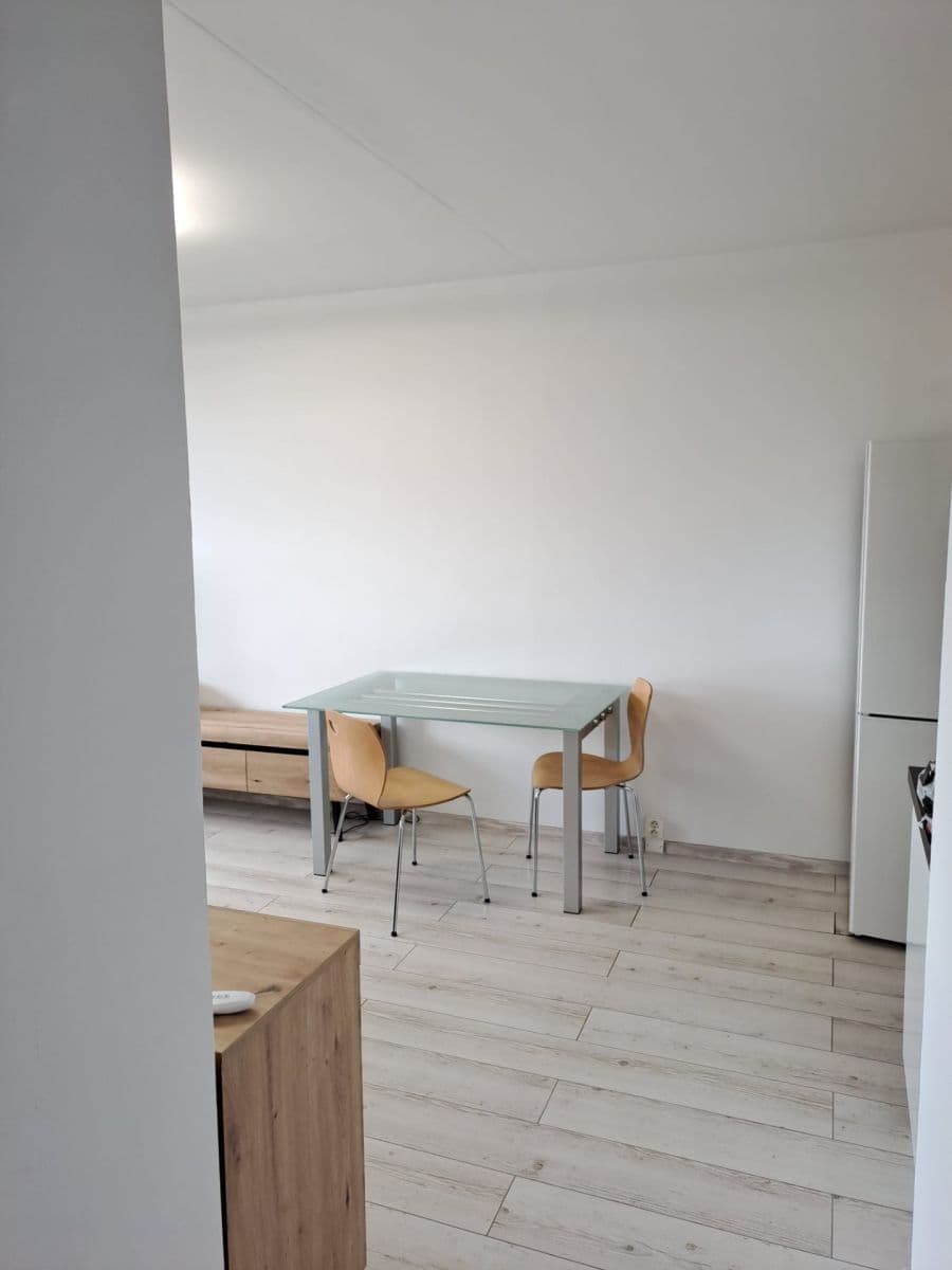 1 bedroom with open-plan kitchen flat to rent, 43 m², Hostinského, Prague, Prague 1 bedroom with open-plan kitchen flat to rent, 43 m², Hostinského, Prague, Prague
