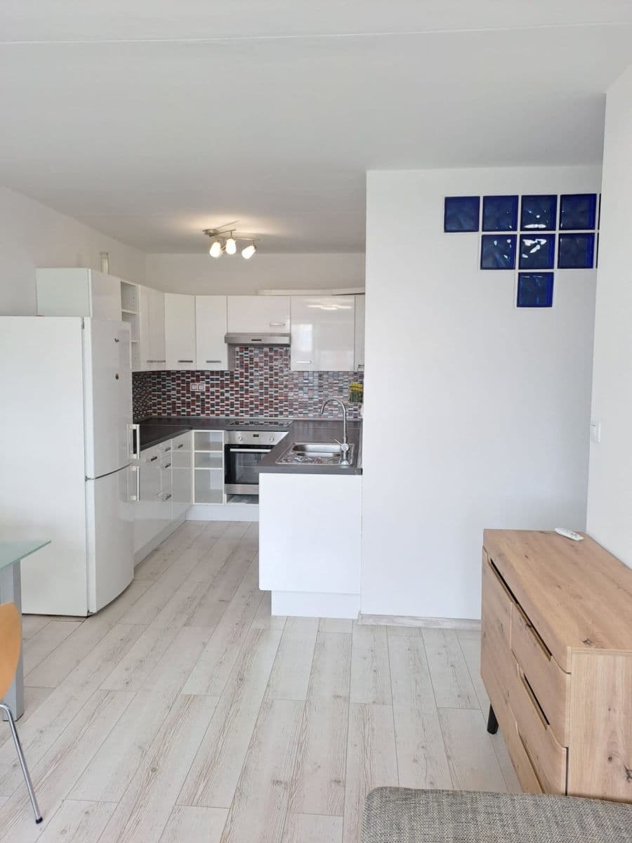 1 bedroom with open-plan kitchen flat to rent, 43 m², Hostinského, Prague, Prague 1 bedroom with open-plan kitchen flat to rent, 43 m², Hostinského, Prague, Prague