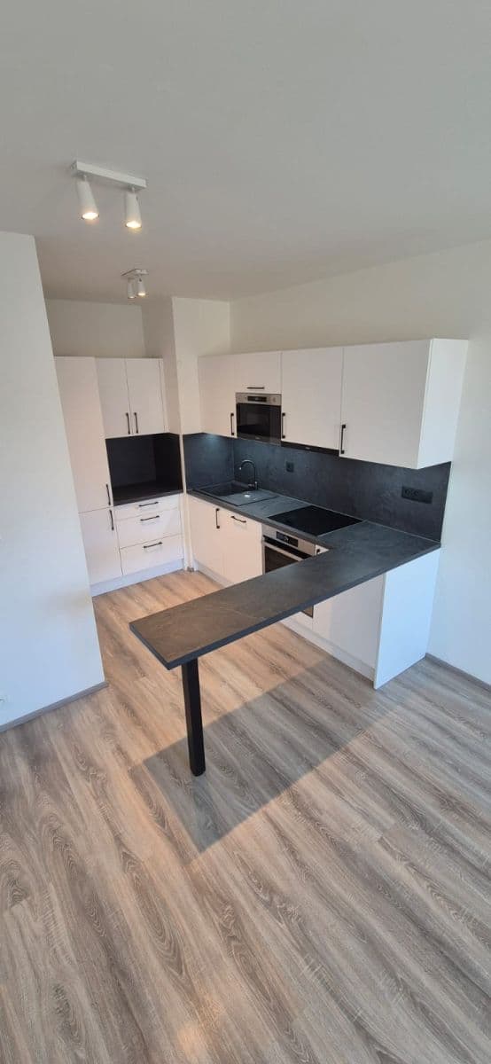 1 bedroom with open-plan kitchen flat to rent, 50 m², Komořanská, Prague, Prague 1 bedroom with open-plan kitchen flat to rent, 50 m², Komořanská, Prague, Prague