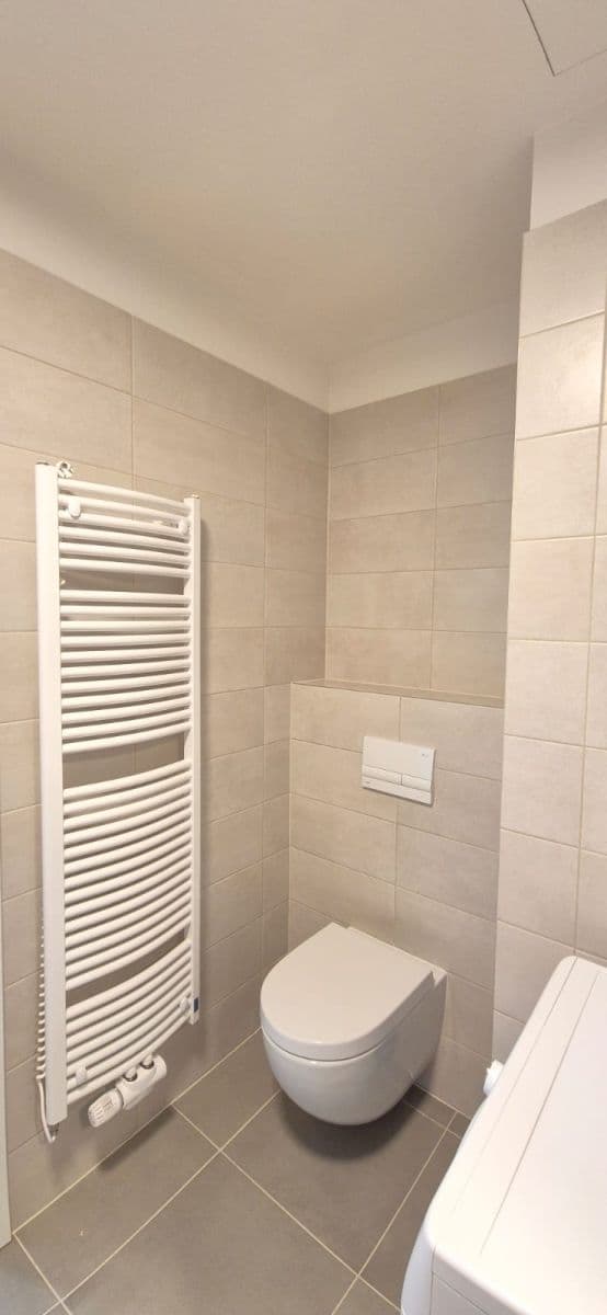 1 bedroom with open-plan kitchen flat to rent, 50 m², Komořanská, Prague, Prague 1 bedroom with open-plan kitchen flat to rent, 50 m², Komořanská, Prague, Prague